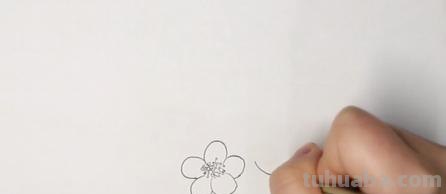 梅花用彩铅怎么画 怎样用铅笔画出梅花? 梅花用彩铅怎么画 怎样用铅笔画出梅花?