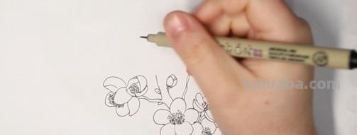 梅花用彩铅怎么画 怎样用铅笔画出梅花? 梅花用彩铅怎么画 怎样用铅笔画出梅花?