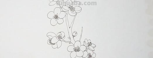 梅花用彩铅怎么画 怎样用铅笔画出梅花? 梅花用彩铅怎么画 怎样用铅笔画出梅花?