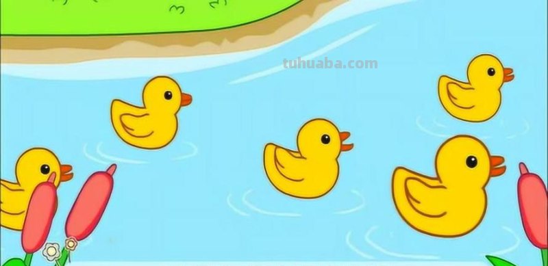 数鸭子儿歌 数鸭子儿歌视频播放