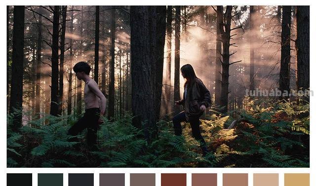 低纯度色彩及低纯度色彩电影：如何用色彩打造独特的视觉风格？ 