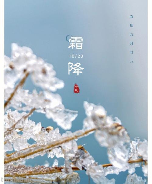 霜降思维导图怎么写 什么是霜降？