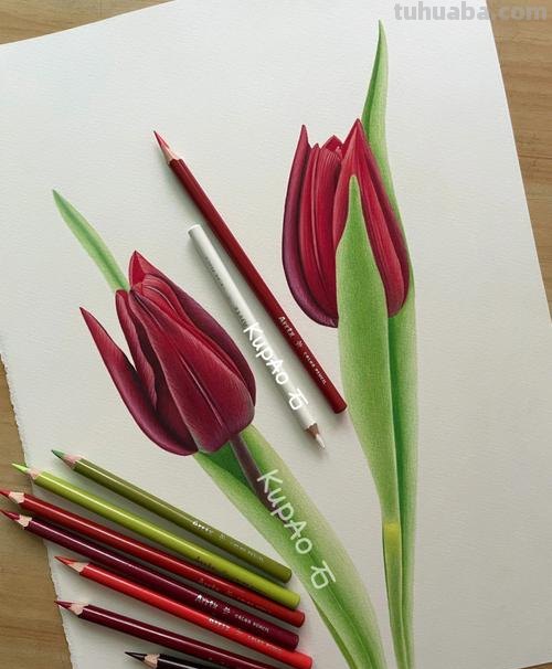 用彩铅画怎么写 彩铅手绘教程？