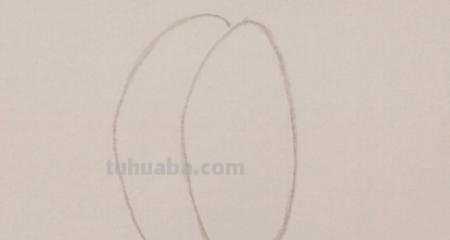 用彩铅画怎么写 彩铅手绘教程？