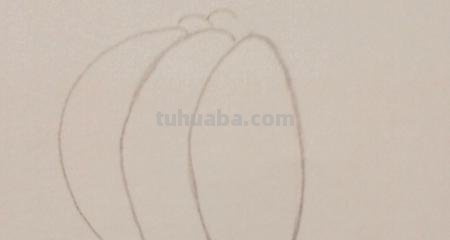 用彩铅画怎么写 彩铅手绘教程？