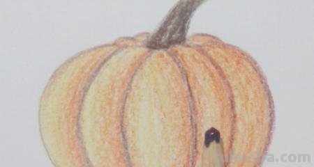 用彩铅画怎么写 彩铅手绘教程？