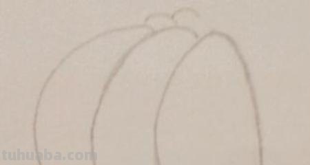 用彩铅画怎么写 彩铅手绘教程？