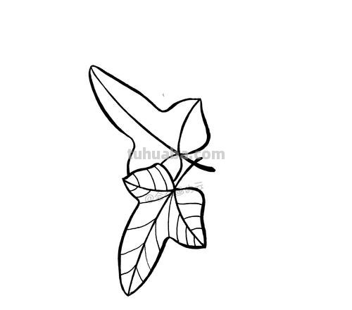 树叶简笔画怎么画 简笔画叶子的画法?
