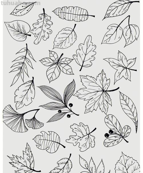 树叶简笔画怎么画 简笔画叶子的画法？