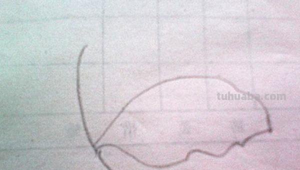 树叶简笔画怎么画 简笔画叶子的画法? 树叶简笔画怎么画 简笔画叶子的画法?