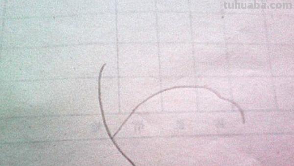 树叶简笔画怎么画 简笔画叶子的画法? 树叶简笔画怎么画 简笔画叶子的画法?