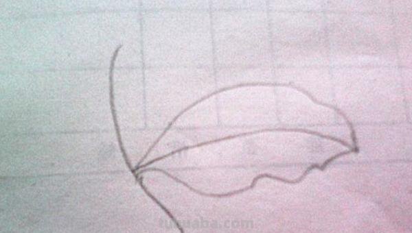 树叶简笔画怎么画 简笔画叶子的画法? 树叶简笔画怎么画 简笔画叶子的画法?