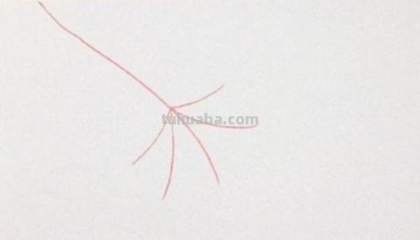 树叶简笔画怎么画 简笔画叶子的画法? 树叶简笔画怎么画 简笔画叶子的画法?