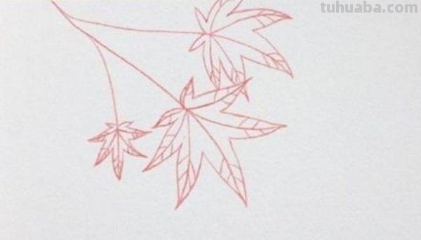 树叶简笔画怎么画 简笔画叶子的画法? 树叶简笔画怎么画 简笔画叶子的画法?