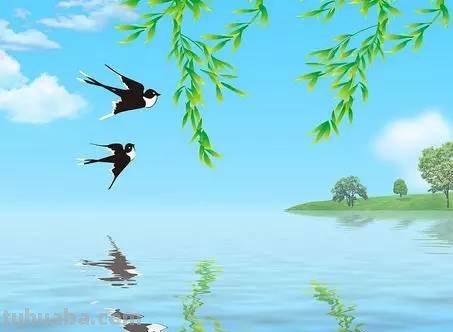 小燕子歌词 小燕子歌词