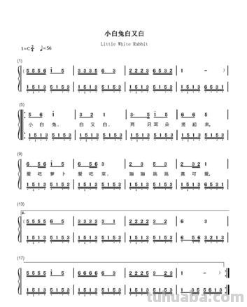 小白兔白又白儿歌 小白兔白又白儿歌歌词