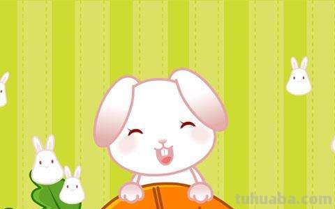 小白兔白又白下一句是什么