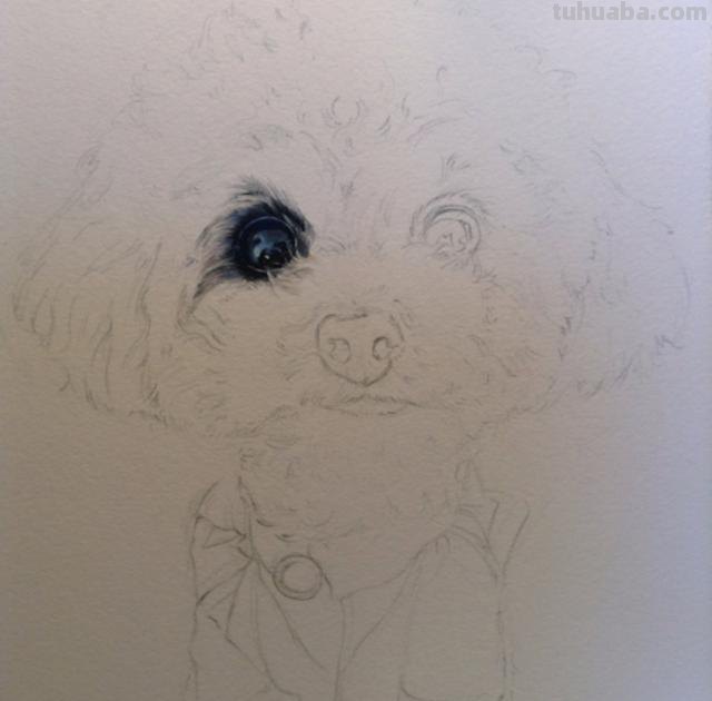 动物怎么画彩铅简单 彩色铅笔画可爱的小猫咪的教程详细步骤？