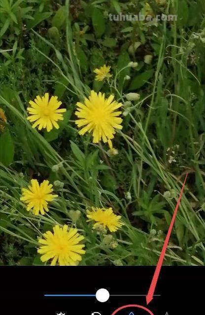 如何调整手机色彩饱和度，让你的手机画面更加鲜艳生动 