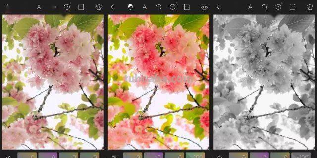 如何调整手机色彩饱和度，让你的手机画面更加鲜艳生动 