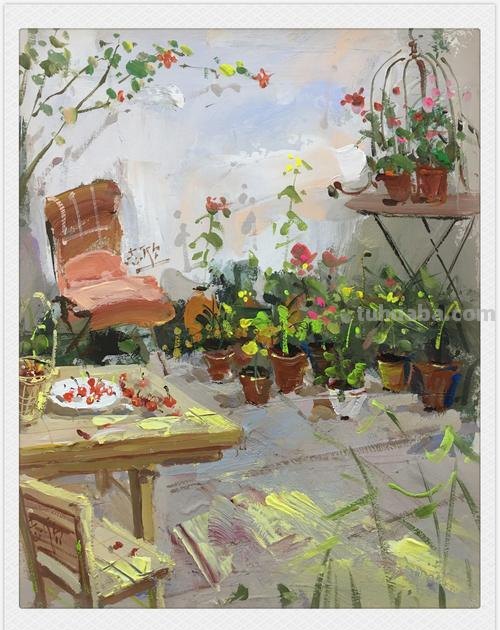 色彩花园：探寻一角的美丽之处 