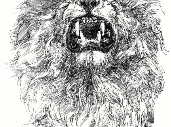 画技巧速写狮子 霸气狮子头绘画教程？