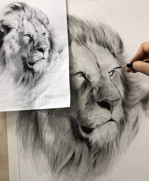 画技巧速写狮子 霸气狮子头绘画教程？