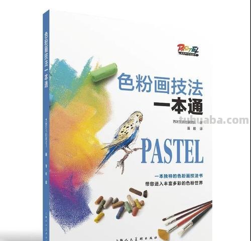 提升绘画技能，掌握色彩技法画及色彩画技巧 