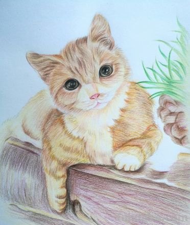用彩铅怎么画猫 可爱的猫咪用格子本怎么画？