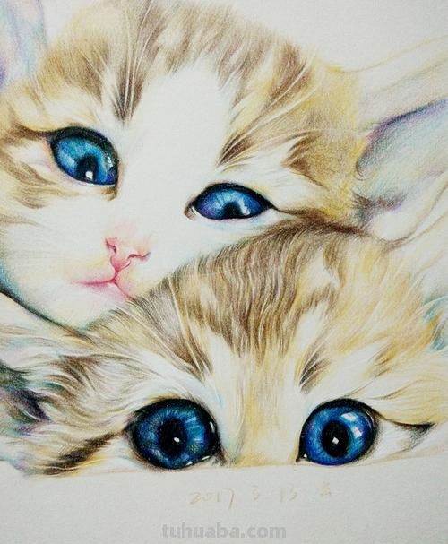 用彩铅怎么画猫 可爱的猫咪用格子本怎么画？