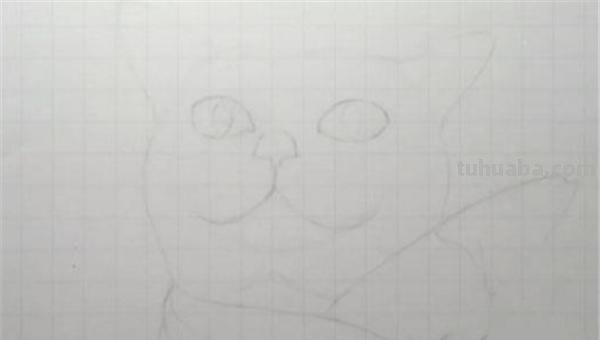 用彩铅怎么画猫 可爱的猫咪用格子本怎么画？