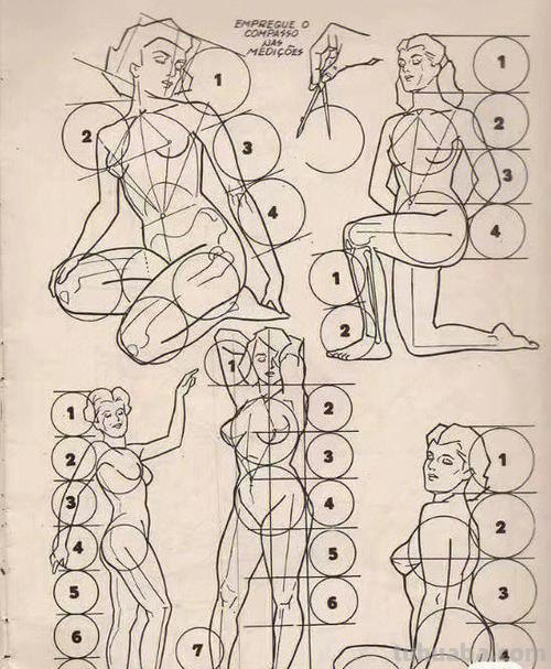 建华速写人体 速写人体比例口诀？