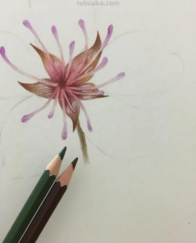 彩铅樱花怎么画视频 怎么用彩铅画樱花树下荡秋千的女孩的慢教程？