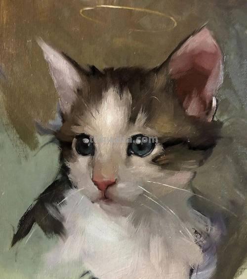 色彩猫图片及色彩猫咪图片大全，让你的眼睛为之一亮！ 