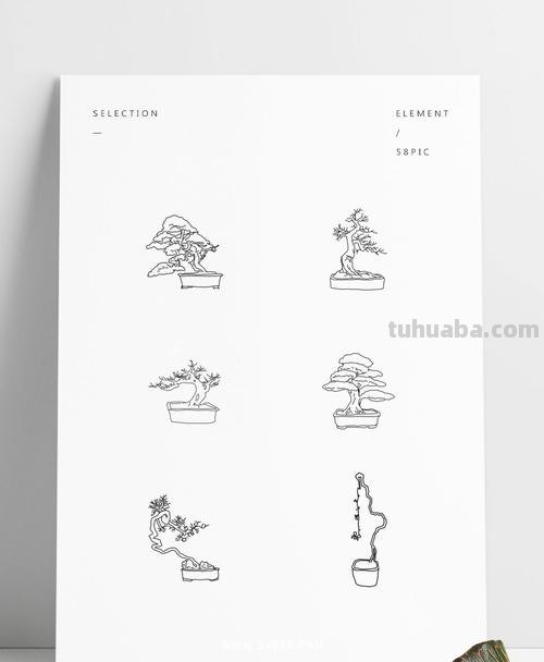 盆栽速写素材 如何画盆栽花？