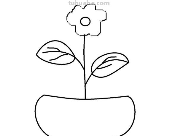 盆栽速写素材 如何画盆栽花？