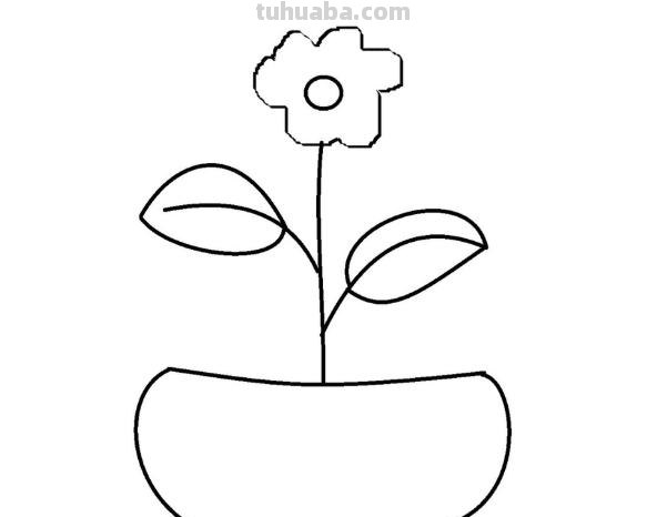 盆栽速写素材 如何画盆栽花？