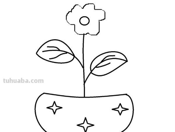 盆栽速写素材 如何画盆栽花？