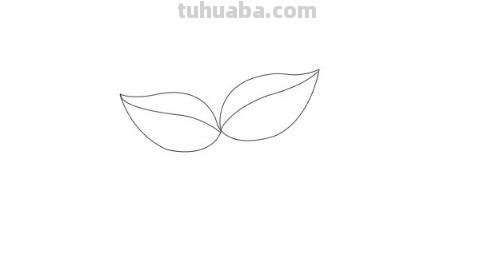 盆栽速写素材 如何画盆栽花？