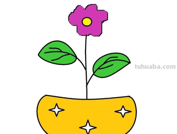 盆栽速写素材 如何画盆栽花？