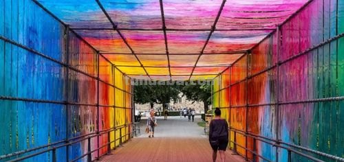 色彩装置艺术：用色彩点亮生活 