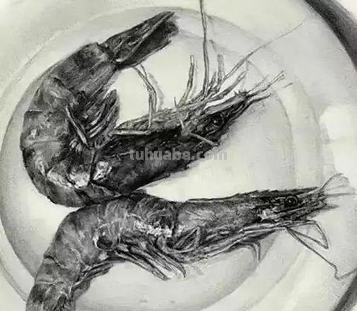 素描自学秘籍:一看就会,简单几步画出超写实食物