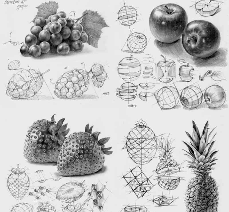 素描自学秘籍：一看就会，简单几步画出超写实食物