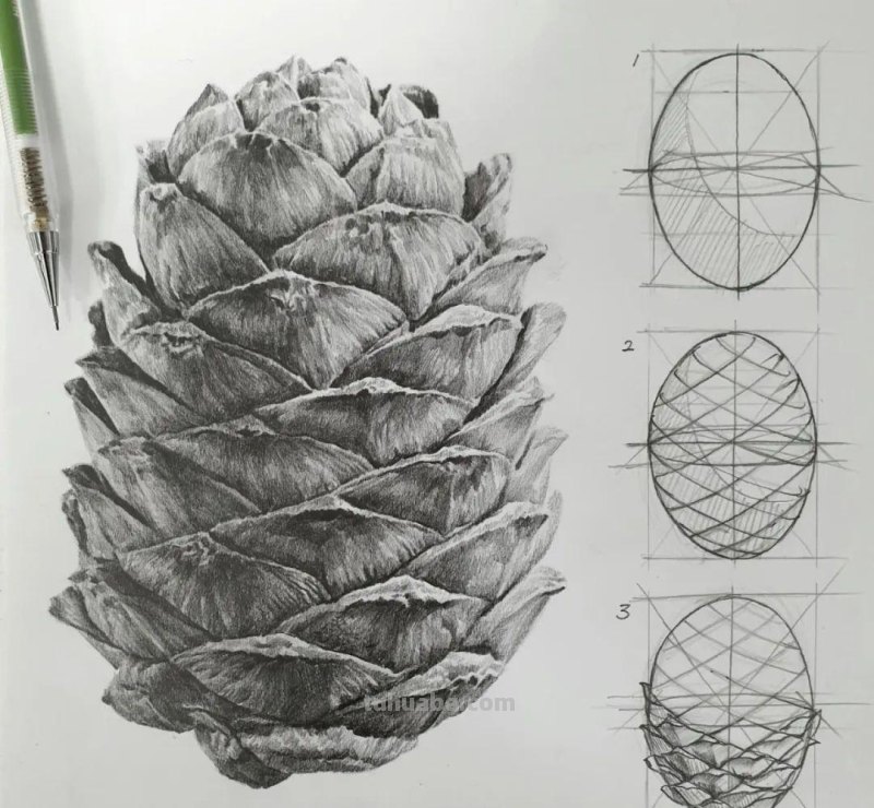 素描自学秘籍：一看就会，简单几步画出超写实食物