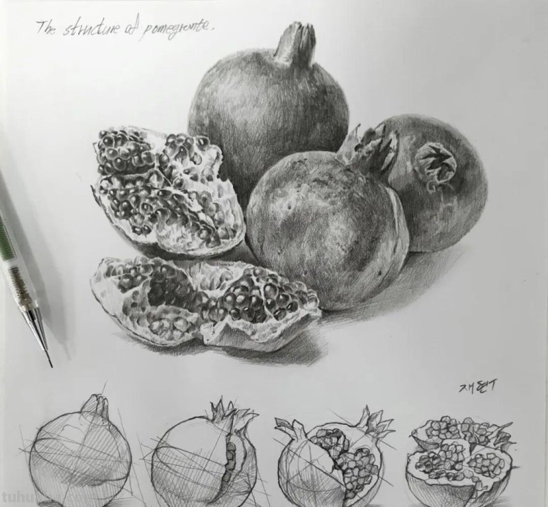 素描自学秘籍：一看就会，简单几步画出超写实食物