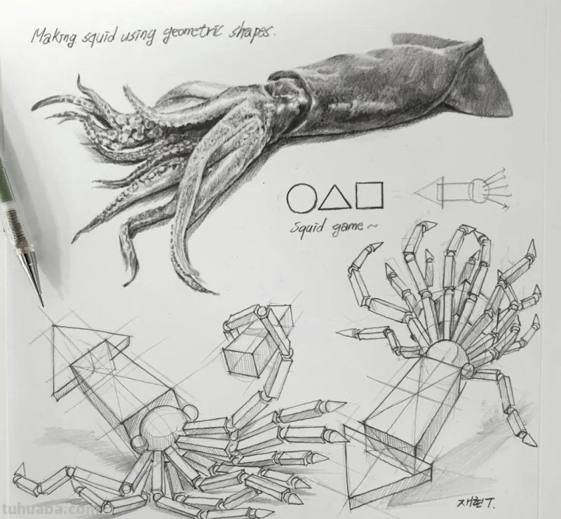 素描自学秘籍：一看就会，简单几步画出超写实食物