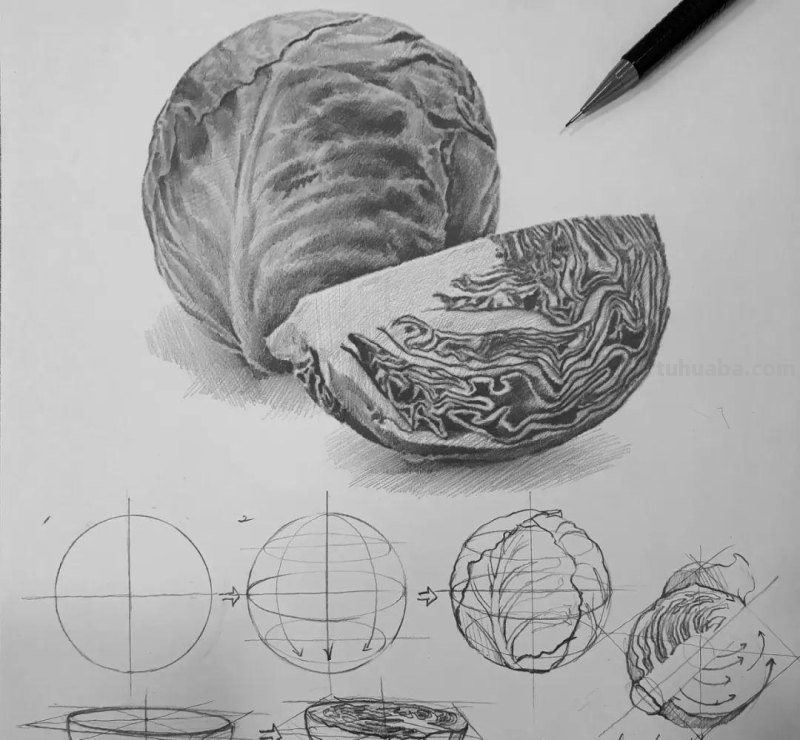素描自学秘籍：一看就会，简单几步画出超写实食物
