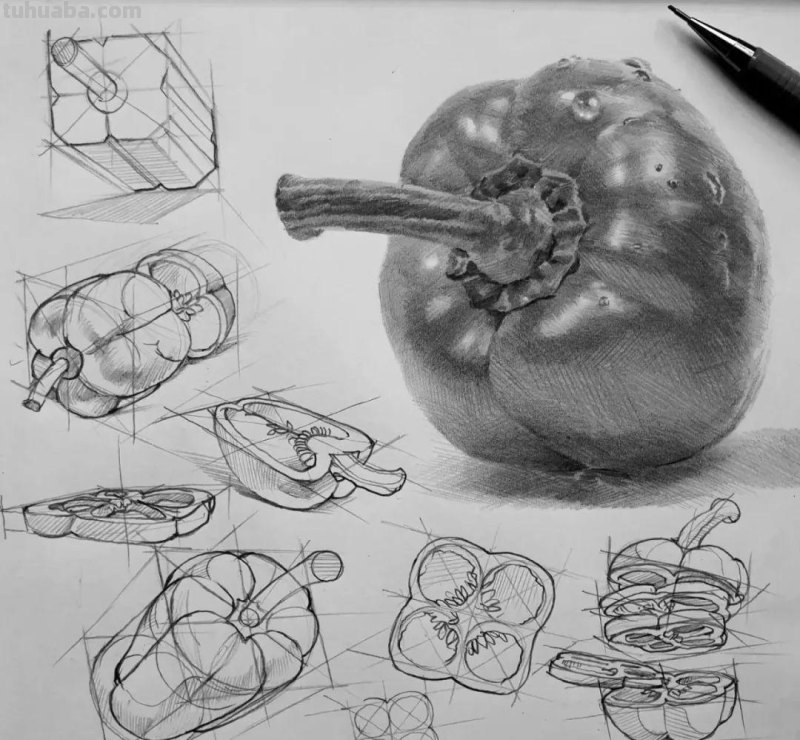 素描自学秘籍：一看就会，简单几步画出超写实食物
