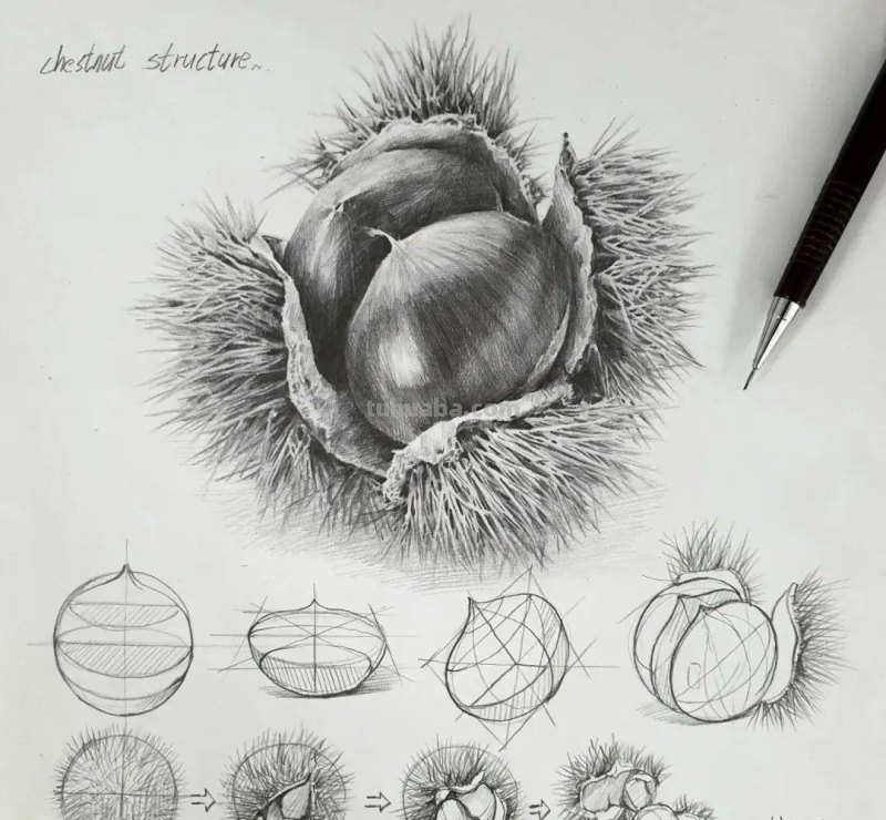 素描自学秘籍：一看就会，简单几步画出超写实食物