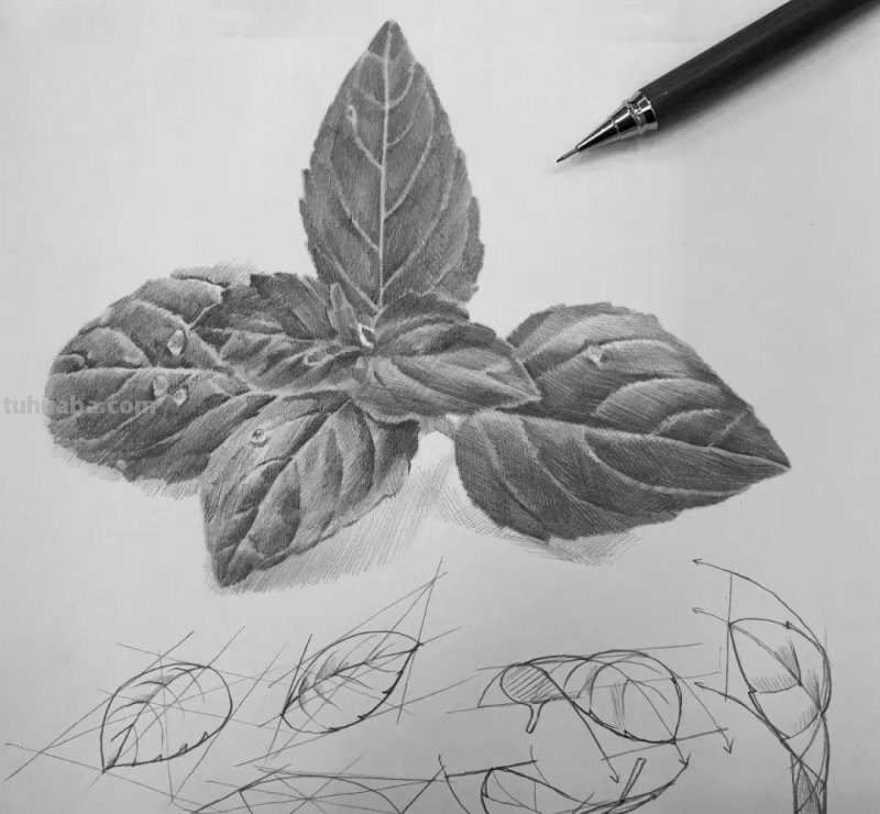 素描自学秘籍：一看就会，简单几步画出超写实食物